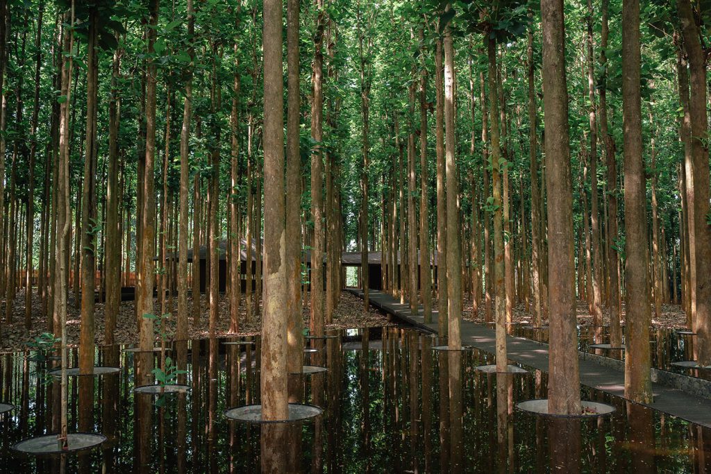 Omah Jati Anyer - Reflection Pond